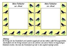 Fach-Faltbücher-Amsel.pdf